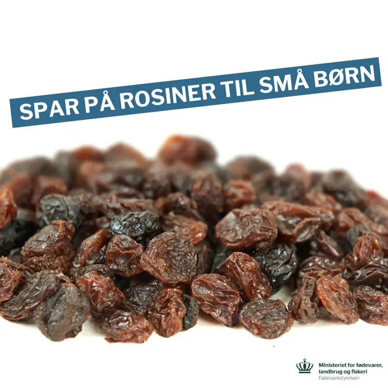 Spar på rosiner ti l børn Fødevarestyrelsen